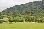 6529.jpg 6529.jpg