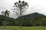 6570.jpg 6570.jpg