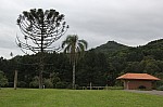 6577.jpg 6577.jpg