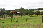 6598.jpg 6598.jpg