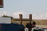 7484.jpg 7484.jpg