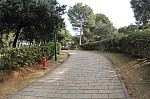 7763.jpg 7763.jpg