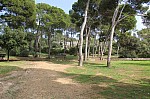 7785.jpg 7785.jpg