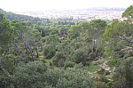 7801.jpg 7801.jpg