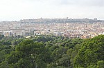 7803.jpg 7803.jpg