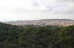 7804.jpg 7804.jpg