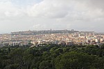 7813.jpg 7813.jpg