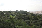 7815.jpg 7815.jpg
