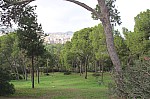 7827.jpg 7827.jpg