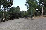 7832.jpg 7832.jpg