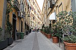 7867.jpg 7867.jpg