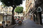 7917.jpg 7917.jpg