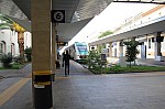 7945.jpg 7945.jpg
