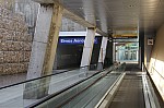 7955.jpg 7955.jpg