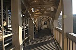 8118.jpg 8118.jpg