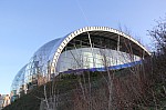 8136.jpg 8136.jpg