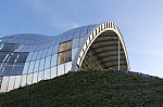 8138.jpg 8138.jpg