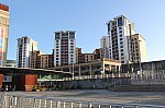 8149.jpg 8149.jpg