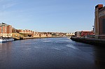 8156.jpg 8156.jpg