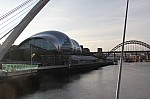 8157.jpg 8157.jpg