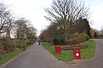 8219.jpg 8219.jpg