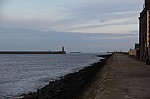 8229.jpg 8229.jpg