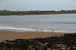 8230.jpg 8230.jpg