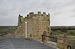 8339.jpg 8339.jpg