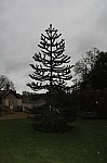 8351.jpg 8351.jpg
