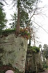 8360.jpg 8360.jpg