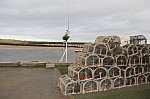 8391.jpg 8391.jpg