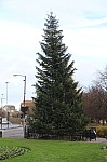 8424.jpg 8424.jpg