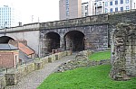 8513.jpg 8513.jpg
