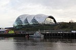 8542.jpg 8542.jpg