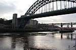 8543.jpg 8543.jpg