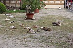 0318.jpg 0318.jpg