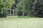 0327.jpg 0327.jpg