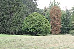 0340.jpg 0340.jpg