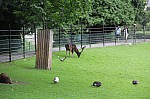 0357.jpg 0357.jpg