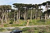 20311.jpg 20311.jpg