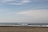 20317.jpg 20317.jpg