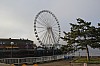 8645.jpg 8645.jpg