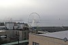 8697.jpg 8697.jpg