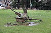 0567.jpg 0567.jpg