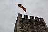 0582.jpg 0582.jpg