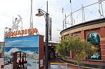 0735.jpg 0735.jpg