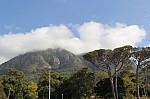 0857.jpg 0857.jpg