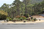 0910.jpg 0910.jpg