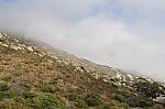 1050.jpg 1050.jpg
