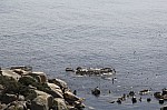 1091.jpg 1091.jpg